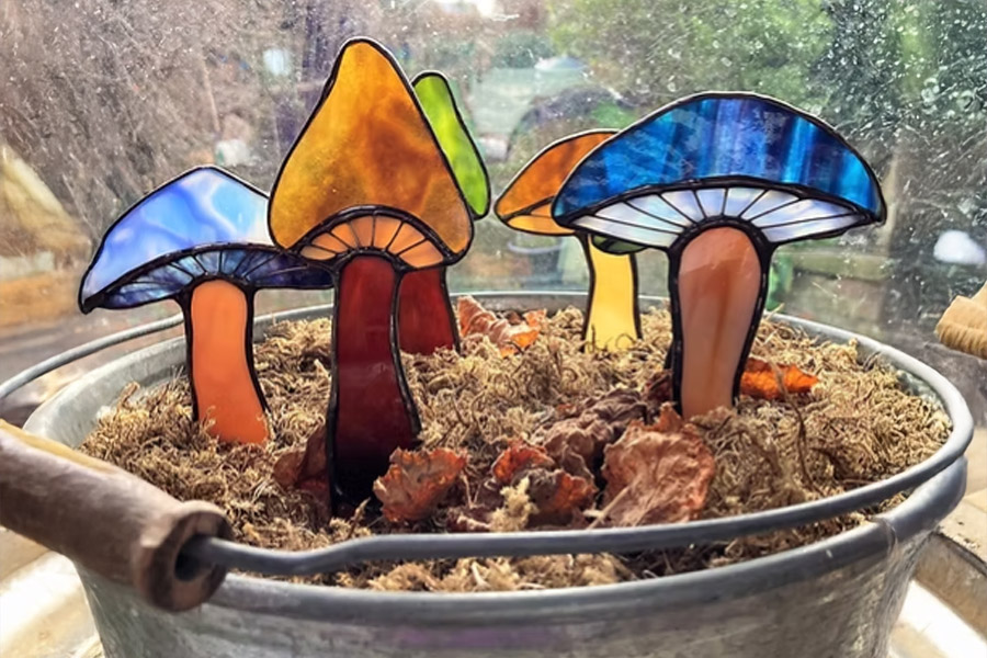mushrooms